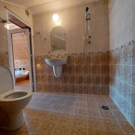 Guest house Vasi *