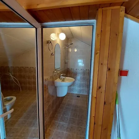Guest house Vasi *