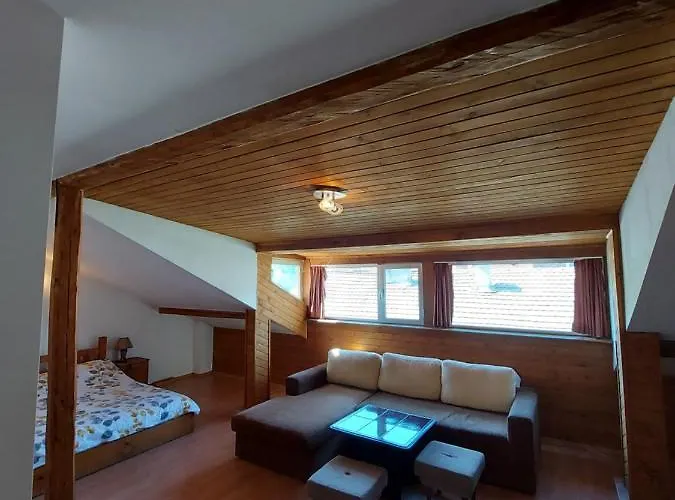 Vasi 도브리니쉬트