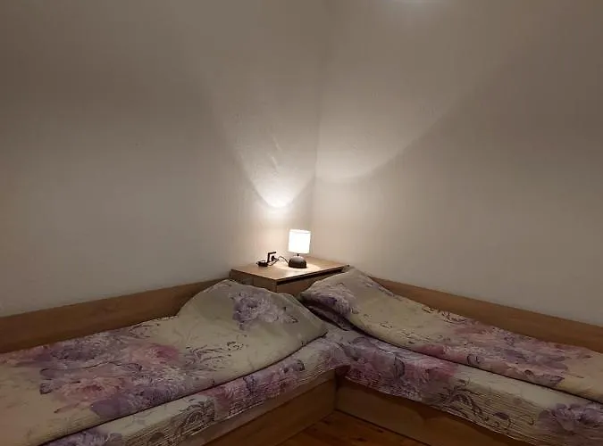 Vasi 도브리니쉬트