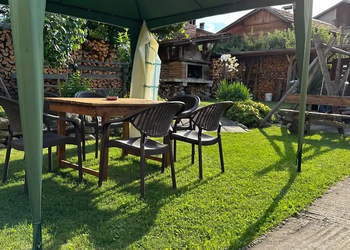 Vasi 도브리니쉬트