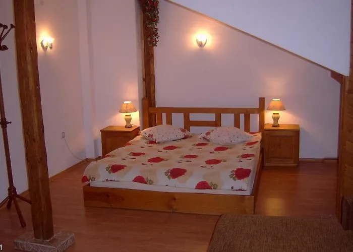 Vasi 3* 도브리니쉬트